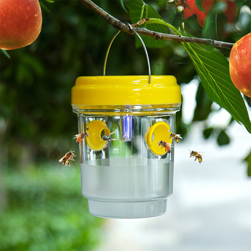 Smart Garden Spotlights - Солнечные ловушки для плодовых мушек, для