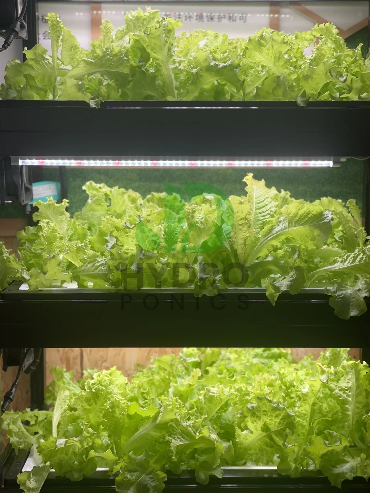 Крытый дом, умный светодиодный – обзор и цена Aquaponics Home Kit