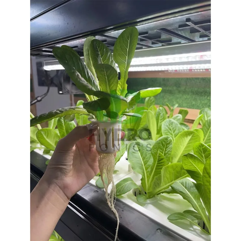 Комплект для выращивания гидро – обзор и цена Aquaponics Home Kit