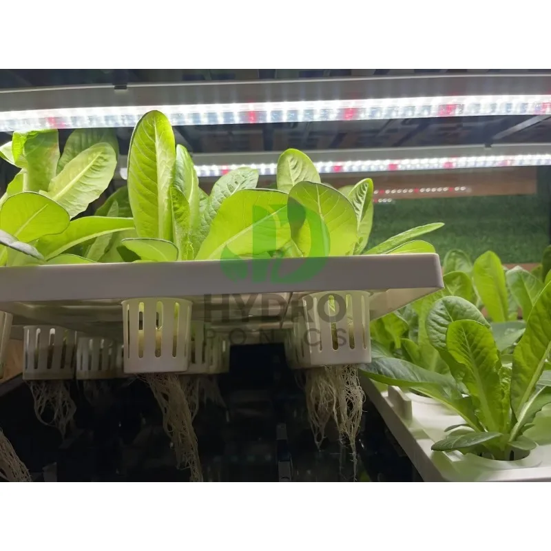 Комплект для выращивания гидро – обзор и цена Aquaponics Home Kit